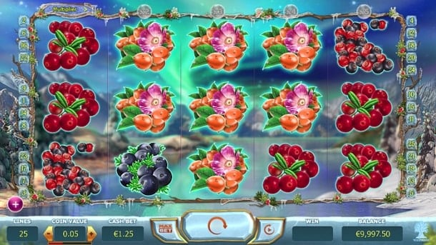 Комбинация символов в онлайн игре Winterberries